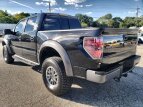 Thumbnail Photo 19 for 2011 Ford F150